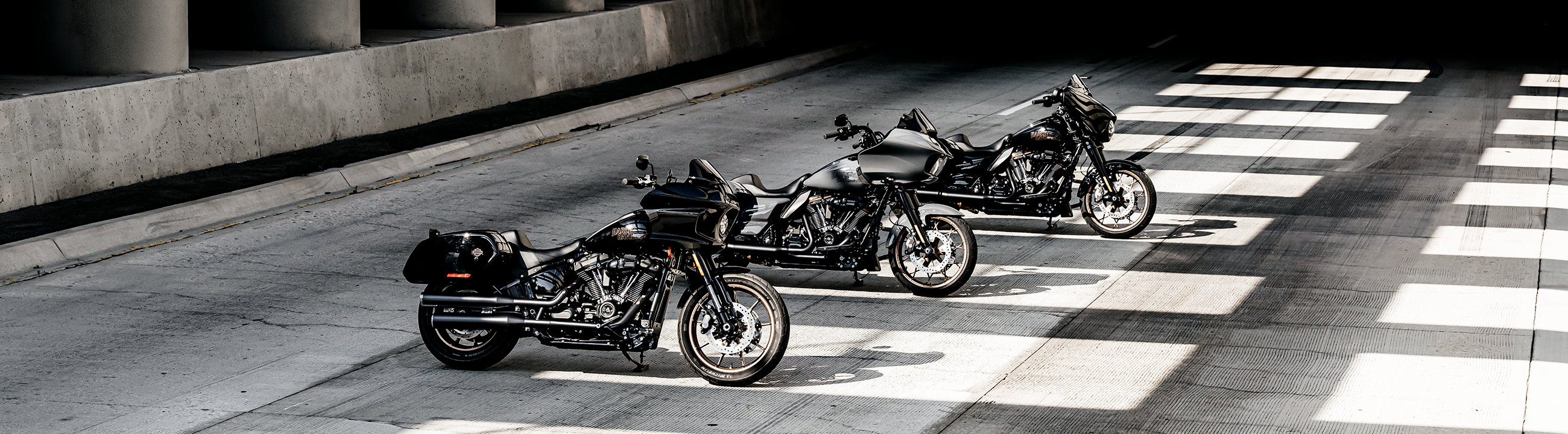 Harley-Davidson Cruiser
