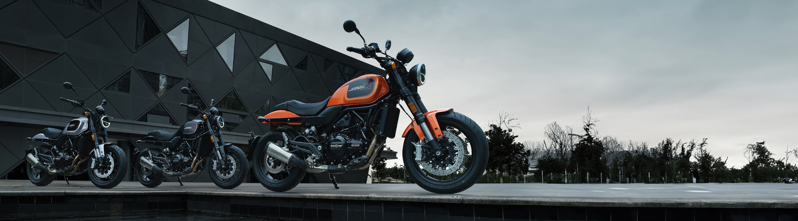 Harley-Davidson X