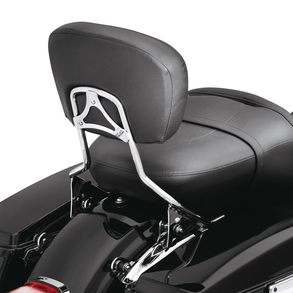 Harley-Davidson H-D Detachables Sissy Bar Upright