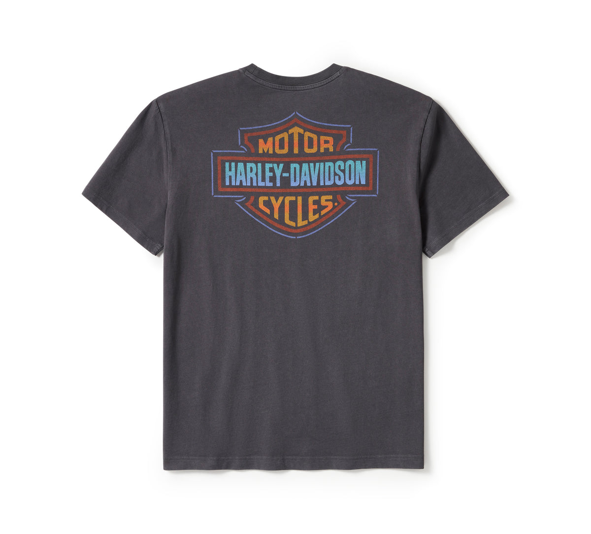 Harley-Davidson Men's Soaring Ride Graphic Tee
