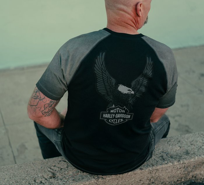 Harley-Davidson Men's Iron Bond II Short Sleeve Tee - Colorblock - Harley Black & Asphalt