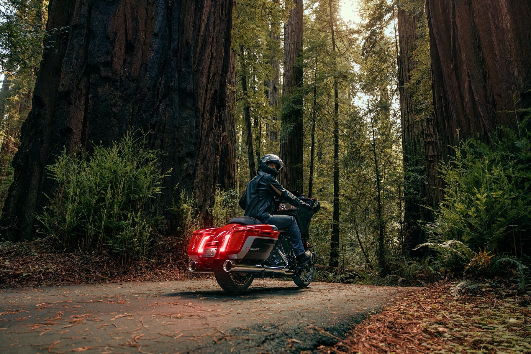 HARLEY-DAVIDSON CVO STREET GLIDE 2024
