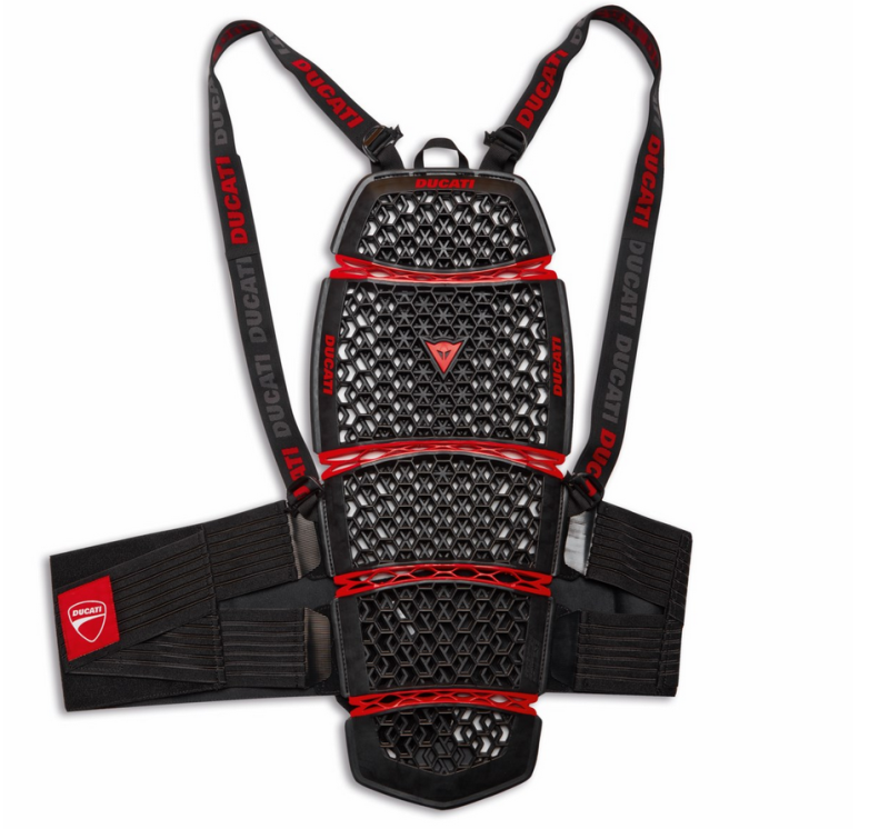 Ducati Company 4 Pro Armor - Back protector - short