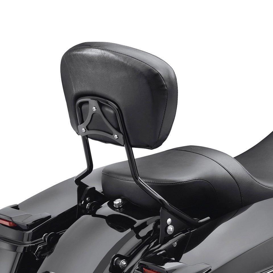 Harley-Davidson H-D Detachables Sissy Bar Upright
