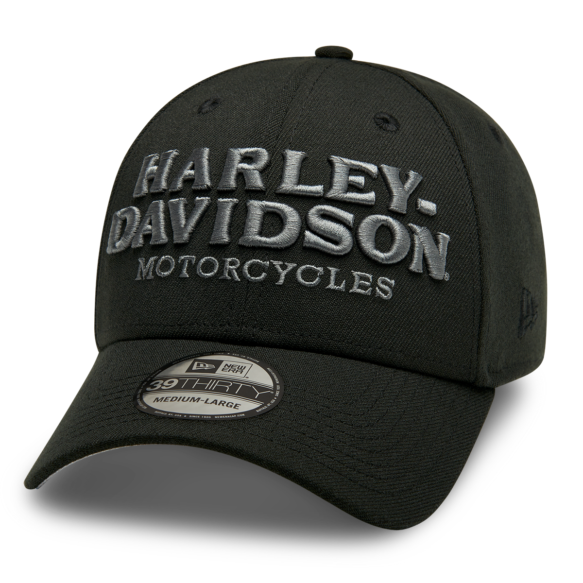 Harley-Davidson Embroidered Graphic Men's 39THIRTY Cap