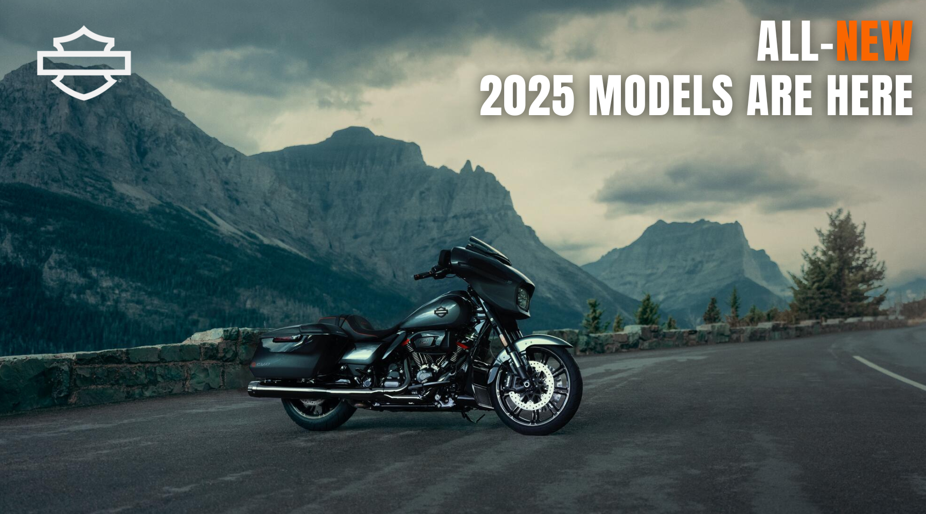 New 2025 H-D Models Enquiry