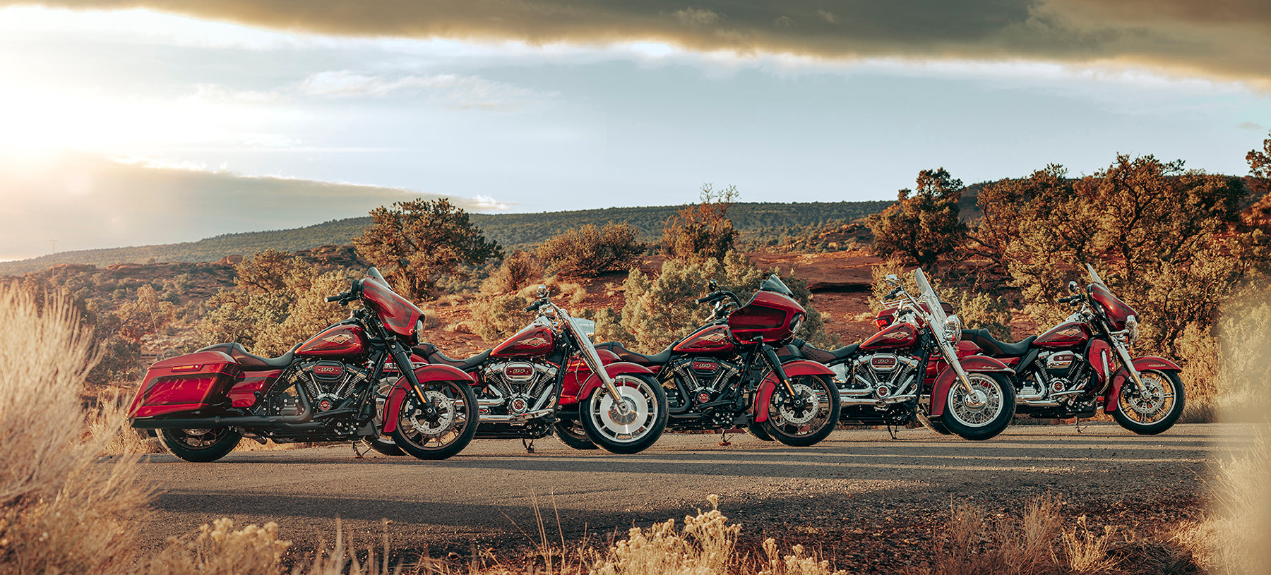 Harley-Davidson 120th Anniversary Motorcycles