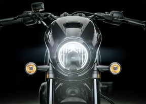 HARLEY-DAVIDSON 2025 NIGHTSTER SPECIAL