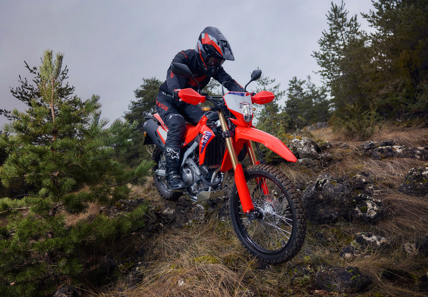 HONDA CRF300L 2025
