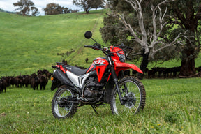 Honda XR190CT