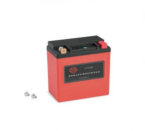 KIT,BAT,LITHIUM,IRON,PHOSPHATE