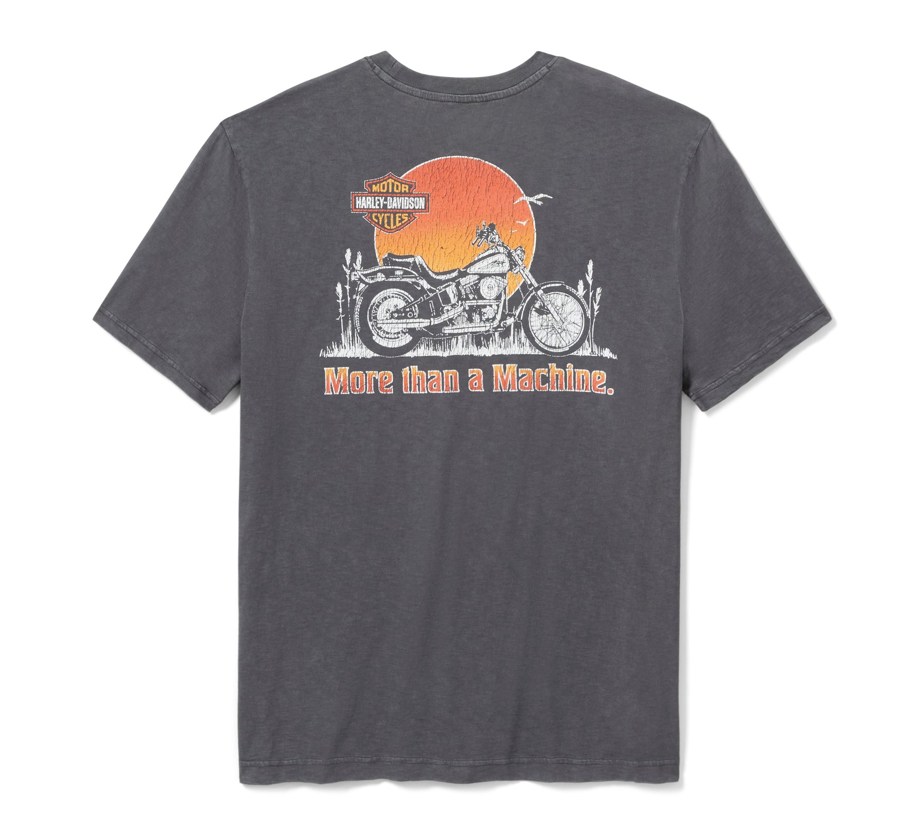 Harley-Davidson Men's Softail Sunset Tee - ASPHALT