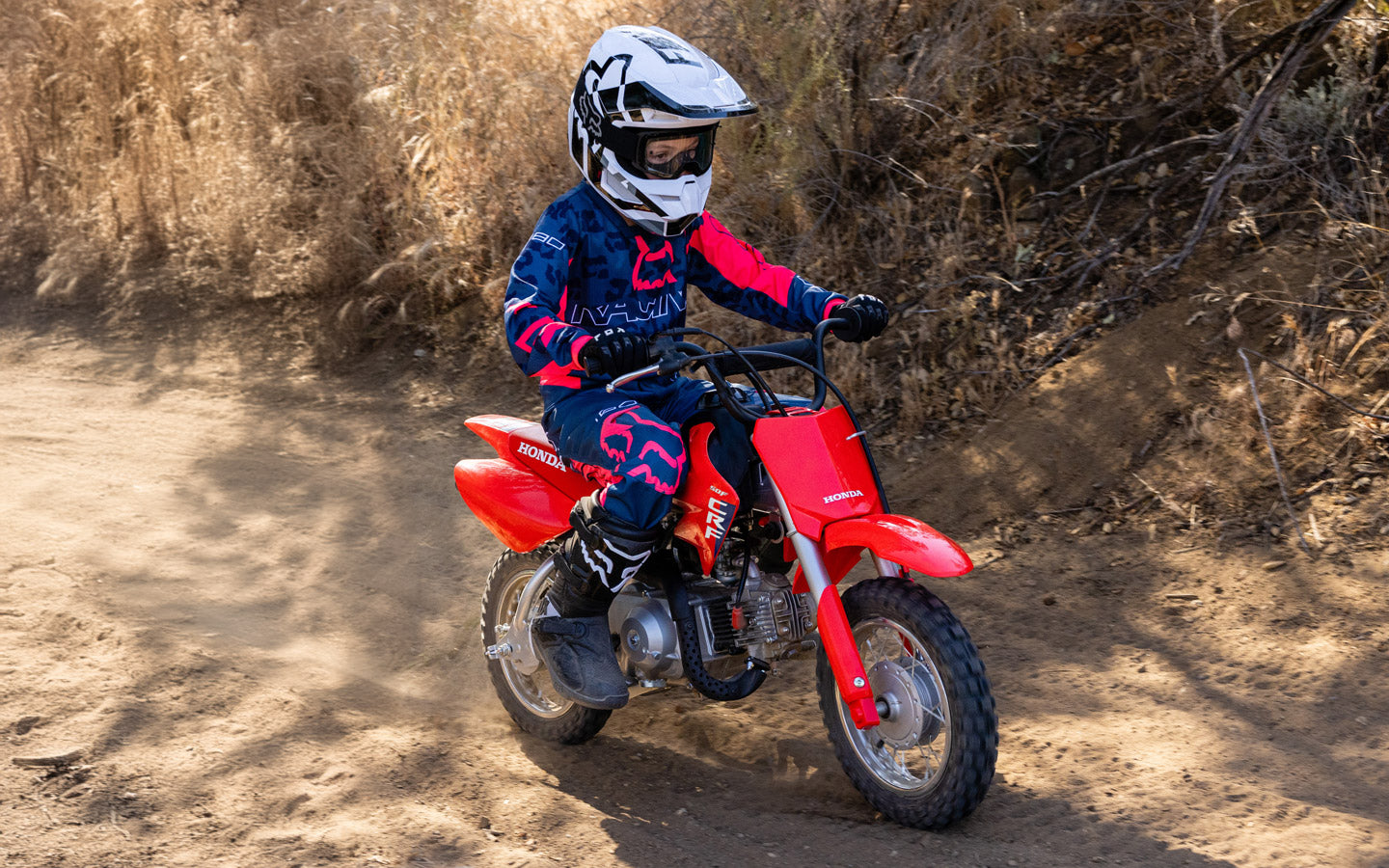 HONDA CRF50F 2026