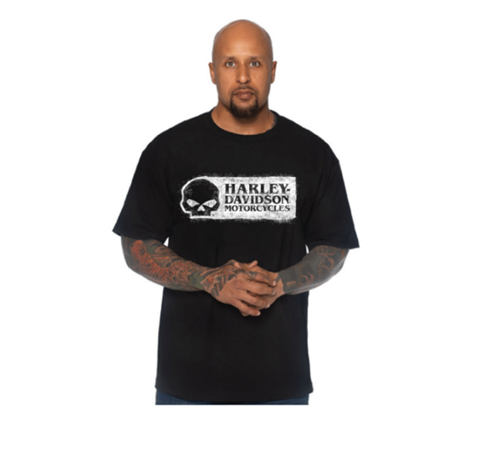 Harley Davidson Men's Grunge Skull Tee