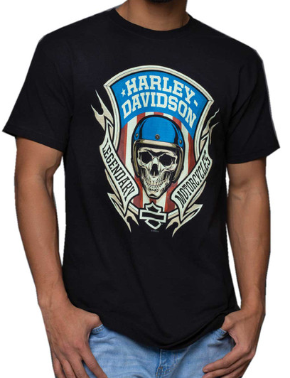 Harley-Davidson Men's Skull Shield Dealer Tee