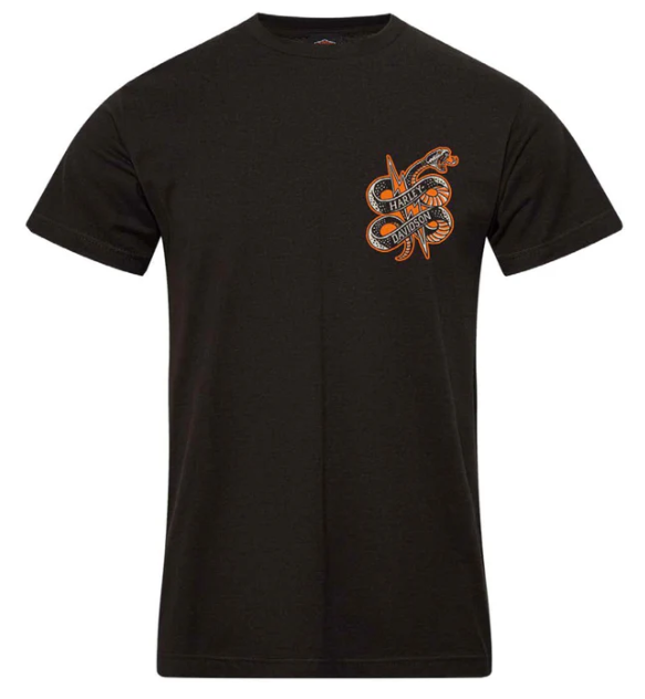 Harley-Davidson Men's Struck Dealer Tee