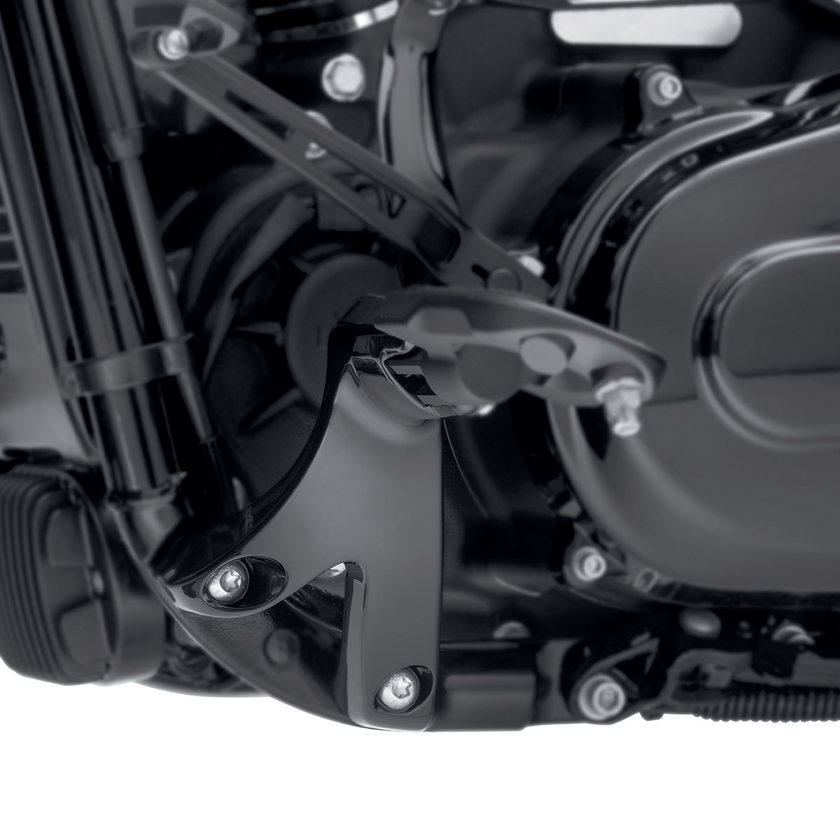 Harley-Davidson Board-to-Peg Conversion Kit