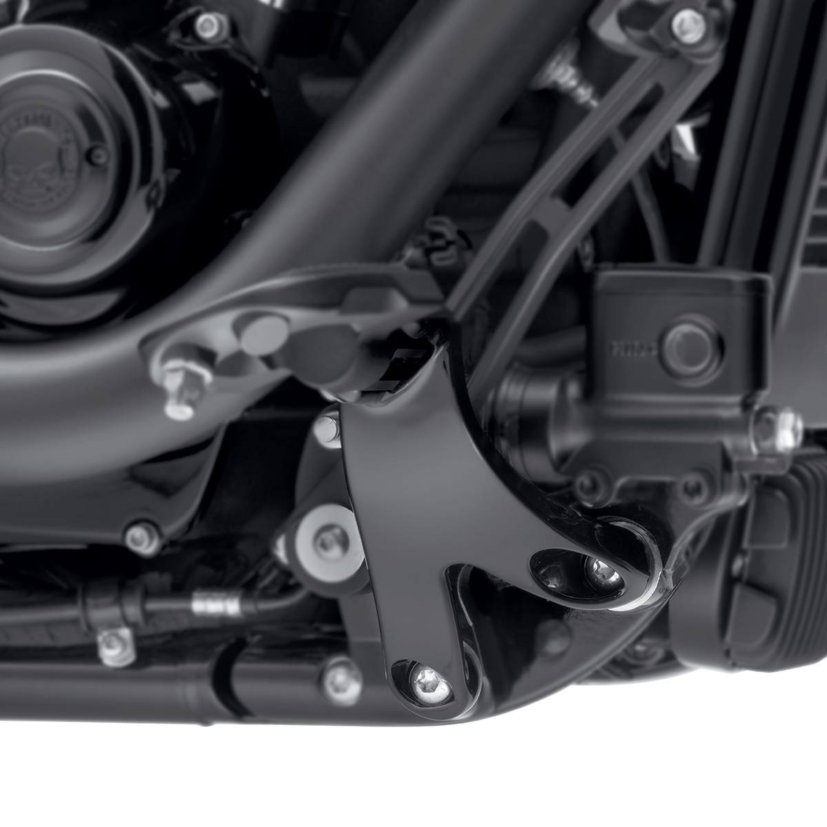Harley-Davidson Board-to-Peg Conversion Kit