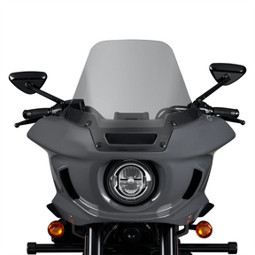 Harley-Davidson Light Smoke 10 In. Windshield