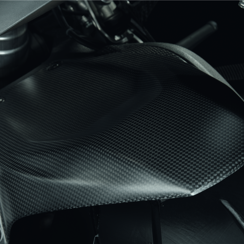 Ducati Carbon Rear Mudguard