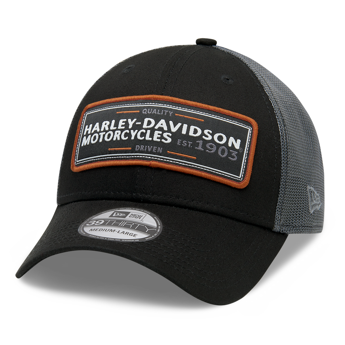 Harley-Davidson Flying Eagle Men's 39THIRTY Cap