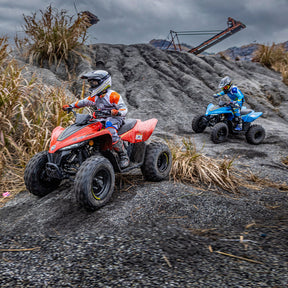 CFMOTO CFORCE 110