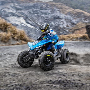 CFMOTO CFORCE 110