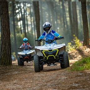 CFMOTO CFORCE 110 EV [Electric]